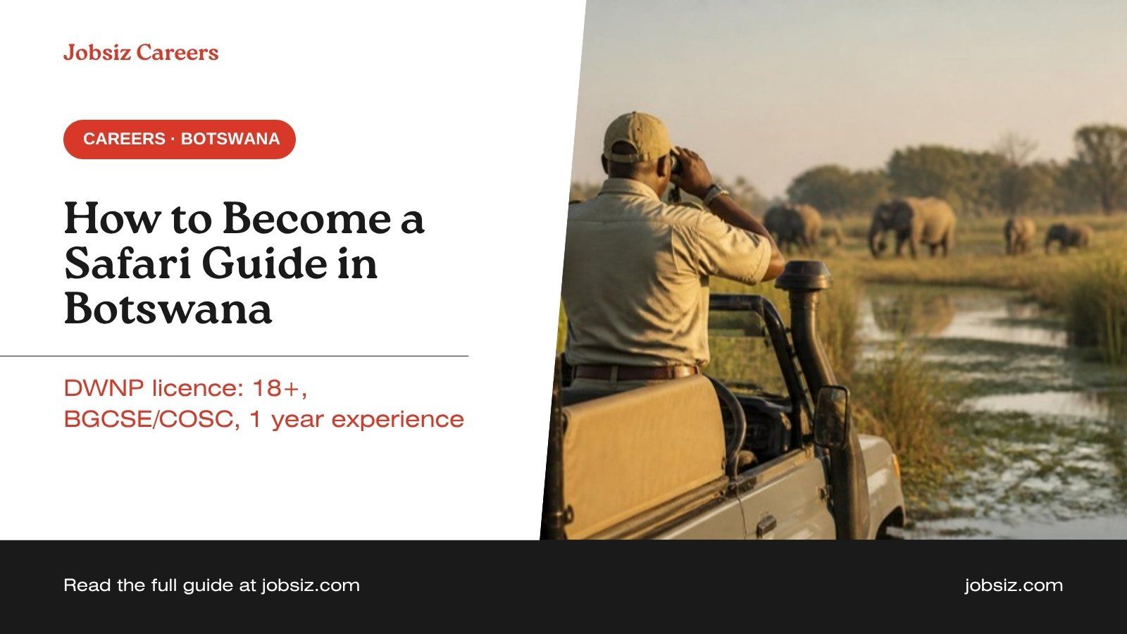 How to Become a Safari Guide in Botswana: Licence and Jobs